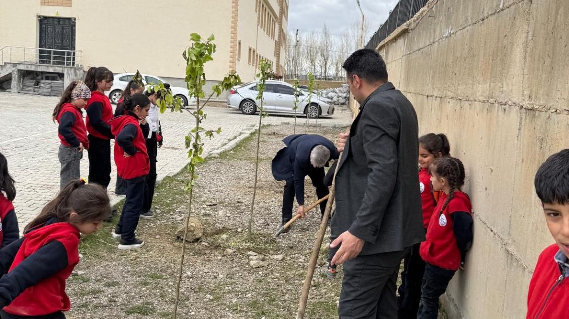 Vezirli Köyü İlk-Ortaokulu Öğrencileri ve Öğretmenlerinden Ağaç Dikme Etkinliği